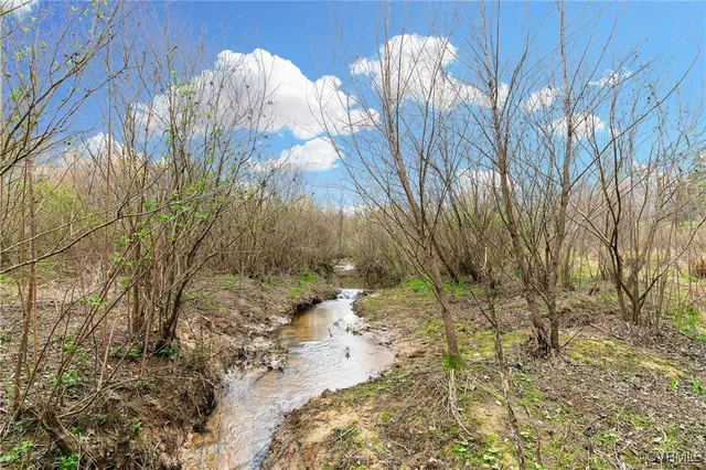 a view of a yard with some trees