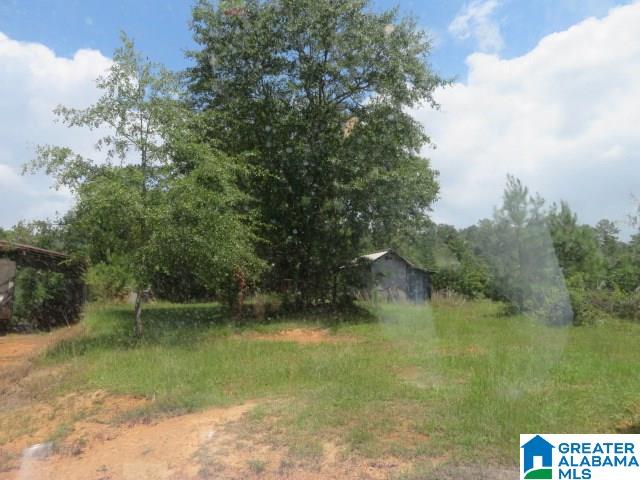 20025 Booler Road Vance, AL 35490 - Photo 46 of 48