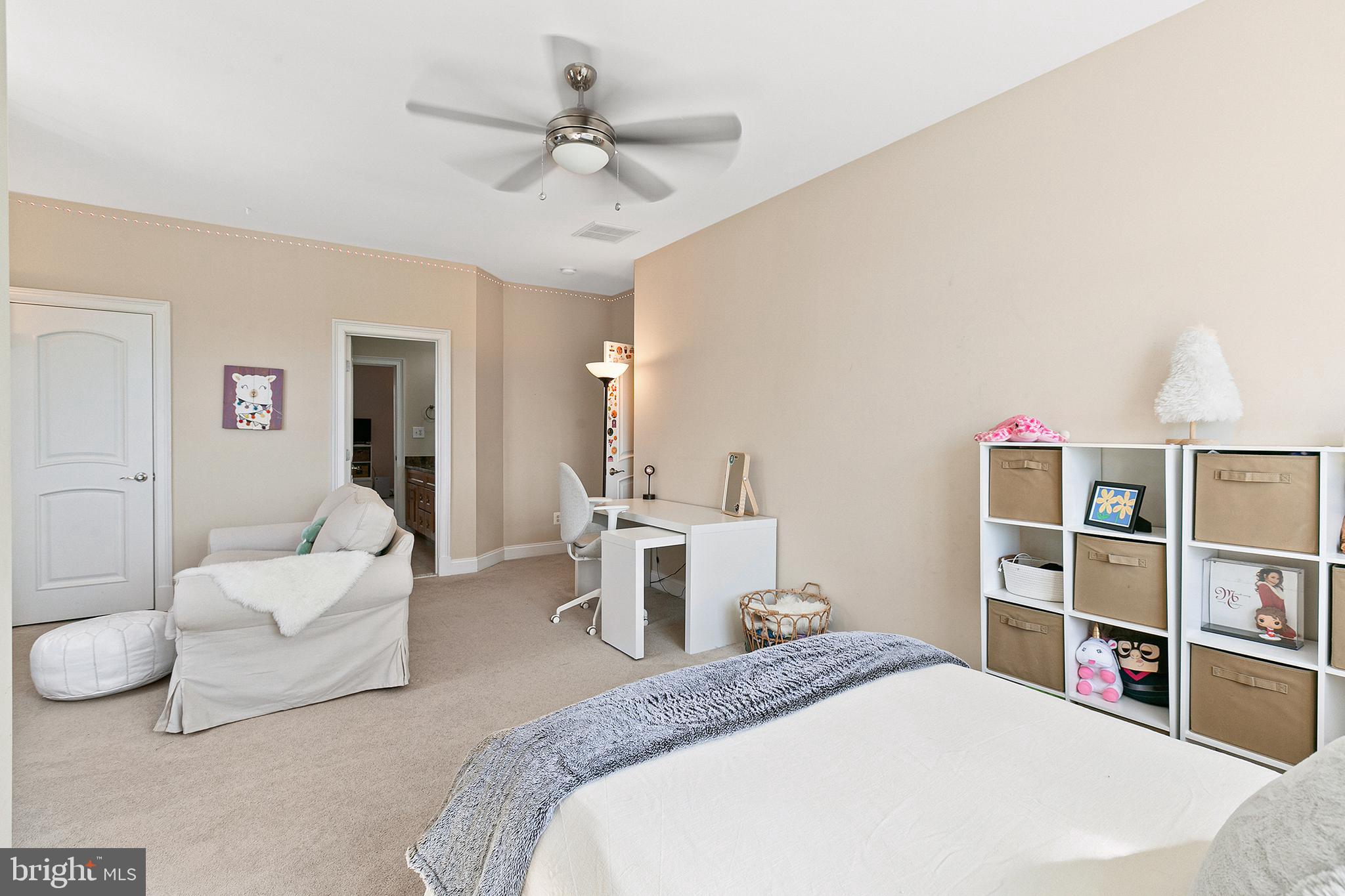 3412 Meredith Ridge Road Phoenix, MD 21131 - Photo 54 of 104 Ceiling Fan And Carpet
