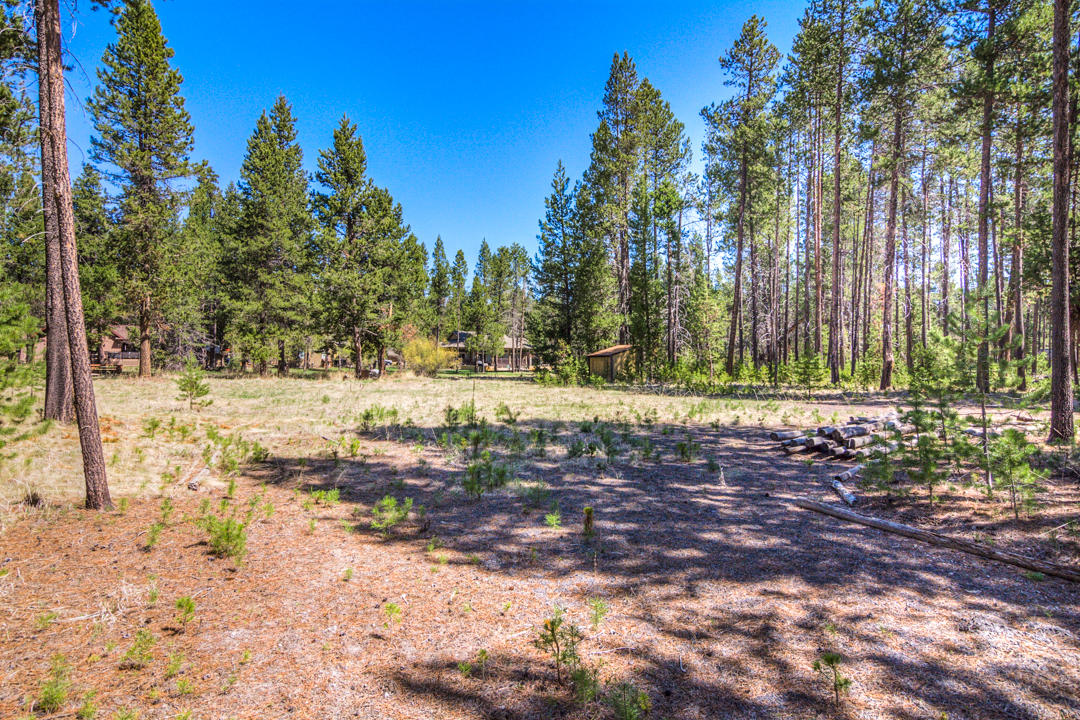 17076 Island Loop Way Bend, OR 97707 - Photo 3 of 13 Power has been pulled in.