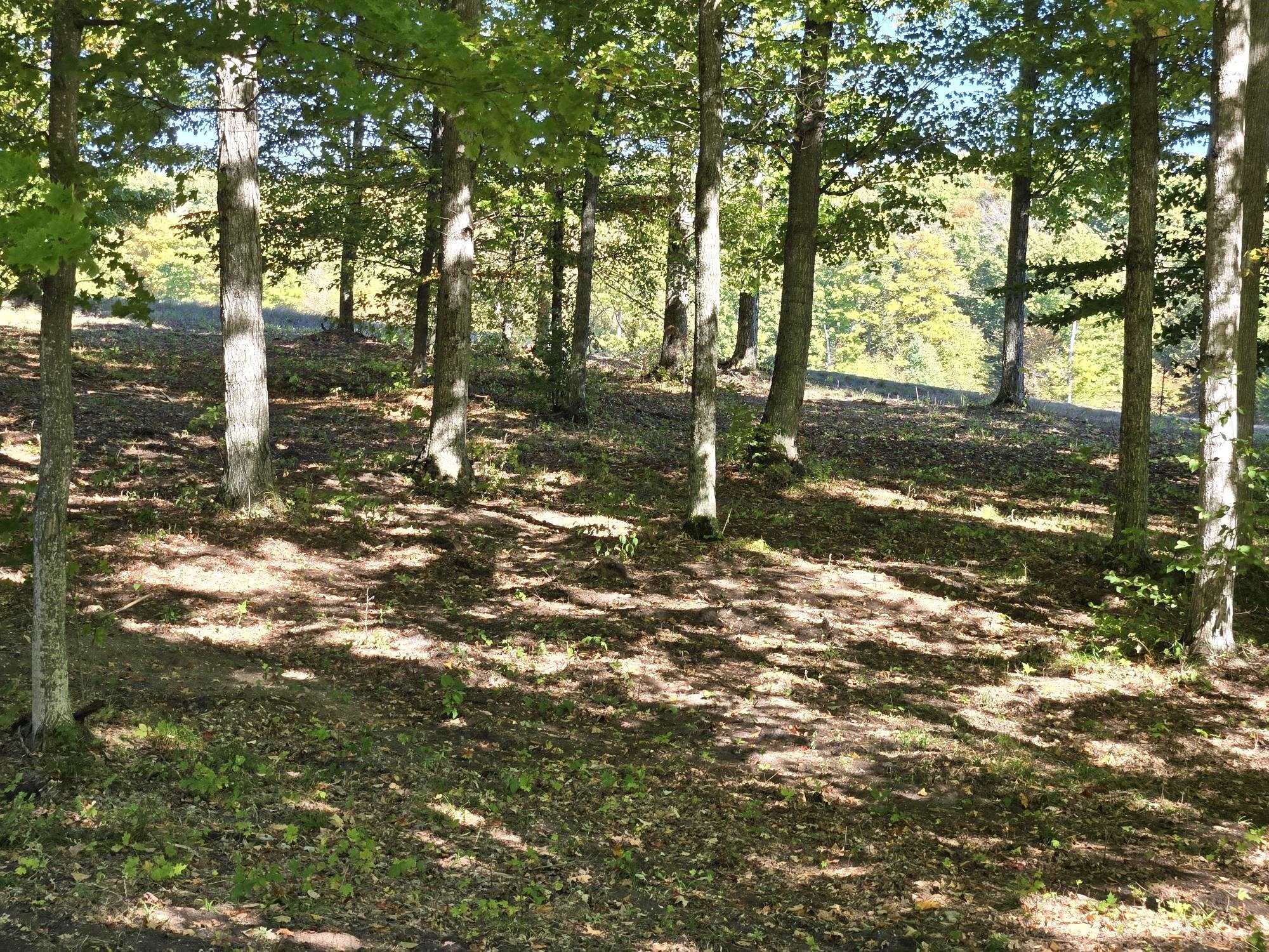 18 Heather Ridge Trail Beulah, MI 49617 - Photo 6 of 12
