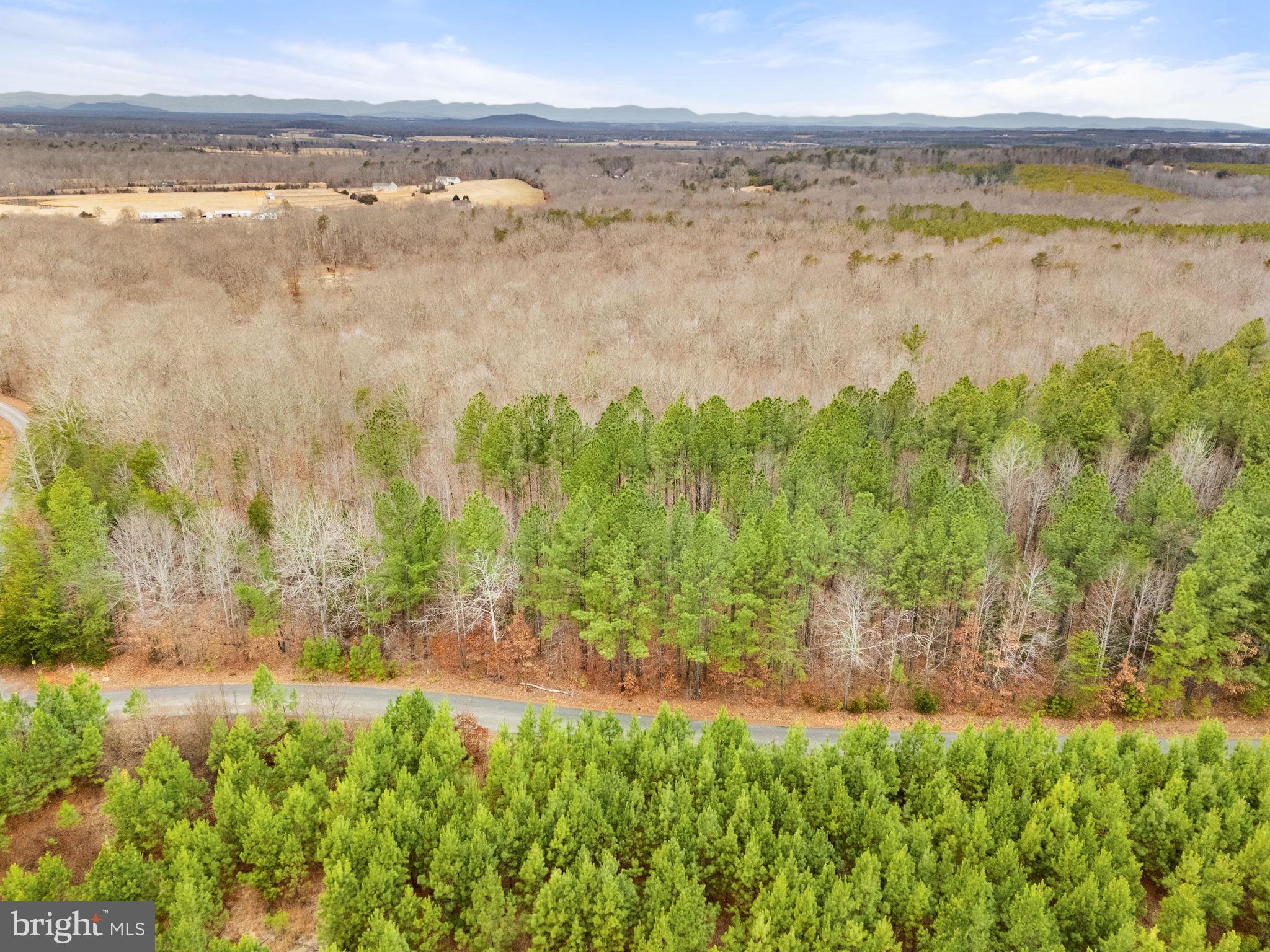 Sams Ridge Lignum, VA 22726 - Photo 30 of 31
