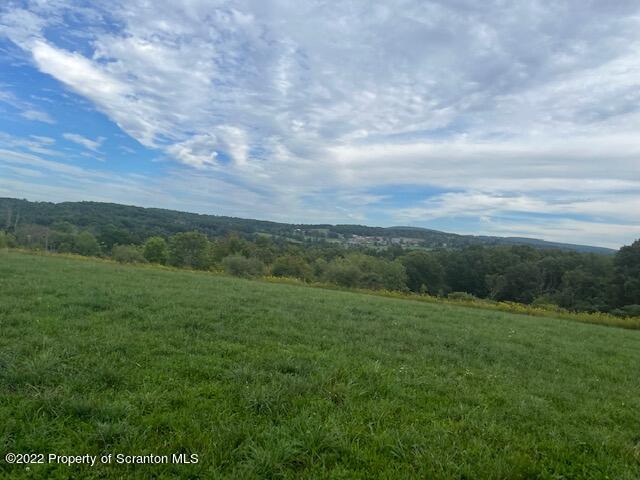 1308 Gravel Pond Road Clarks Summit, PA 18411 - Photo 14 of 18 a view of a field of grass and trees