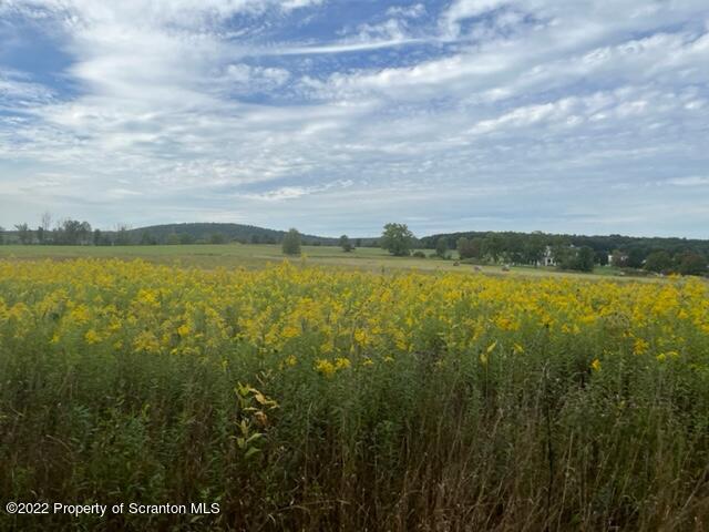 1308 Gravel Pond Road Clarks Summit, PA 18411 - Photo 16 of 18 a view of an ocean and beach