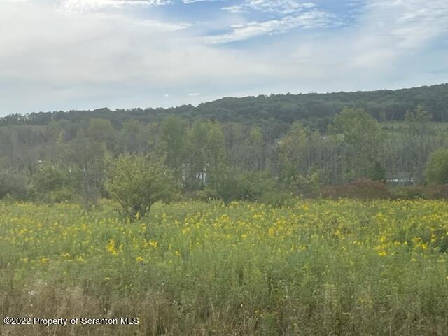 1308 Gravel Pond Road Clarks Summit, PA 18411 - Photo 7 of 18 a view of a lake with a mountain in the background