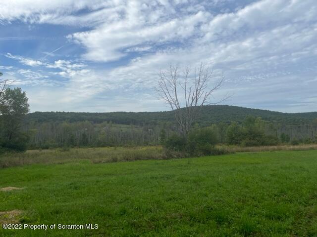 1308 Gravel Pond Road Clarks Summit, PA 18411 - Photo 8 of 18 a view of grassy field with trees