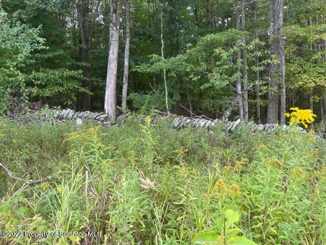 1308 Gravel Pond Road Clarks Summit, PA 18411 - Photo 10 of 18 a view of a backyard with plants
