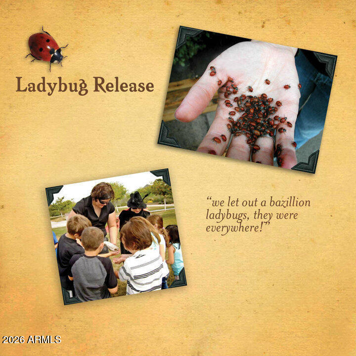 12731 West Eagle Ridge Lane Peoria, AZ 85383 - Photo 74 of 87 Ladybug Release