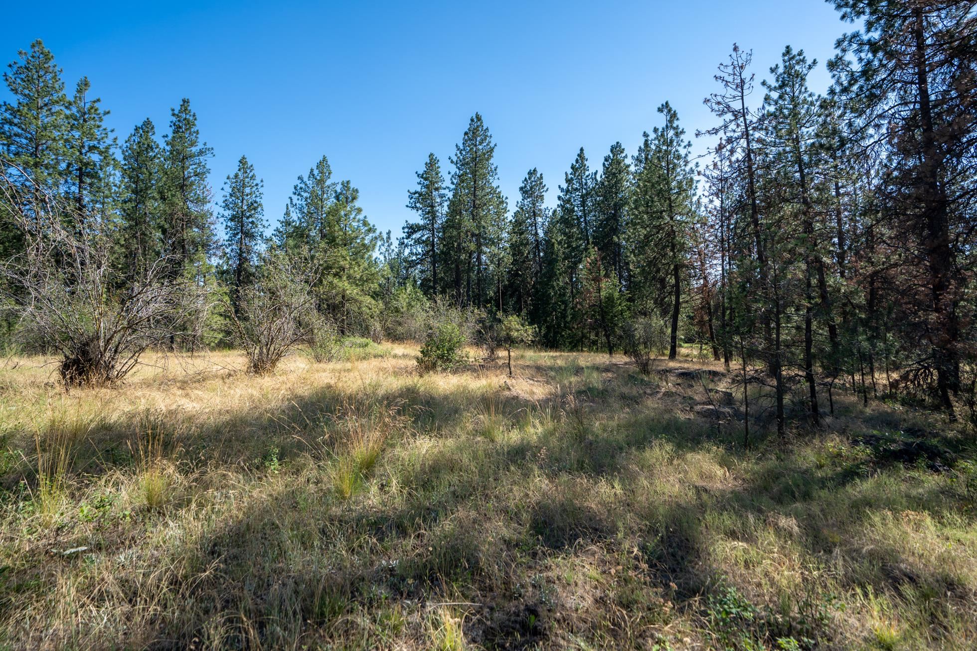 3840 South Trainor Road Spokane, WA 99224 - Photo 8 of 9 Gallery Image 8
