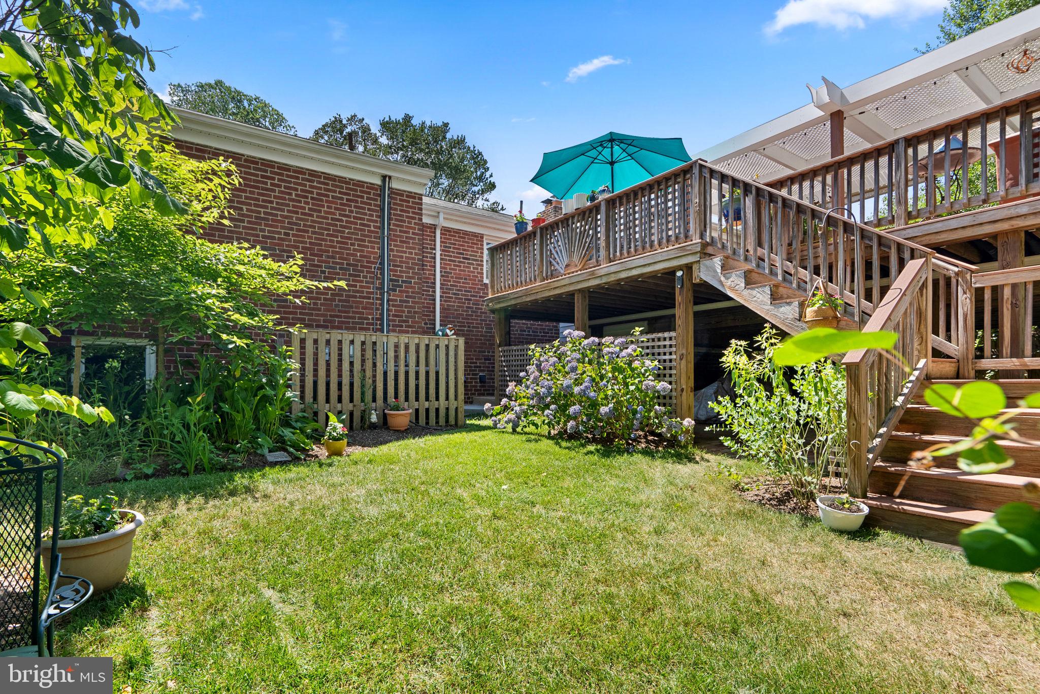 8917 Whitney Street Silver Spring, MD 20901 - Photo 35 of 41 Yard with all native trees, shrubs and perennials