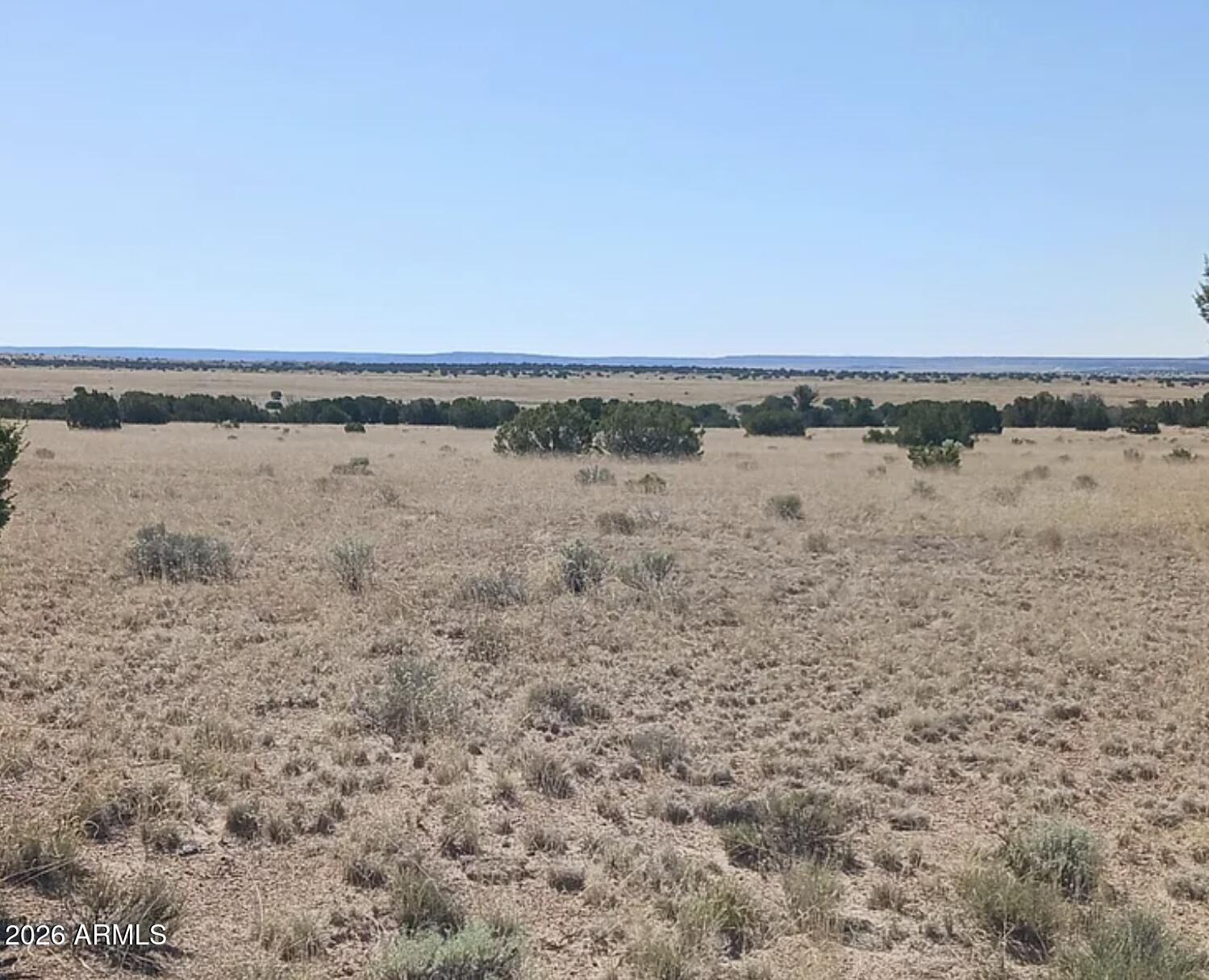 269 County Road St. Johns, AZ 85936 - Photo 5 of 11 269 County Rd N7129