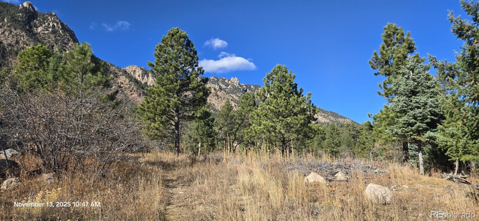 390 Irvington Court Colorado Springs, CO 80906 - Photo 2 of 6 a view of a flower in a garden