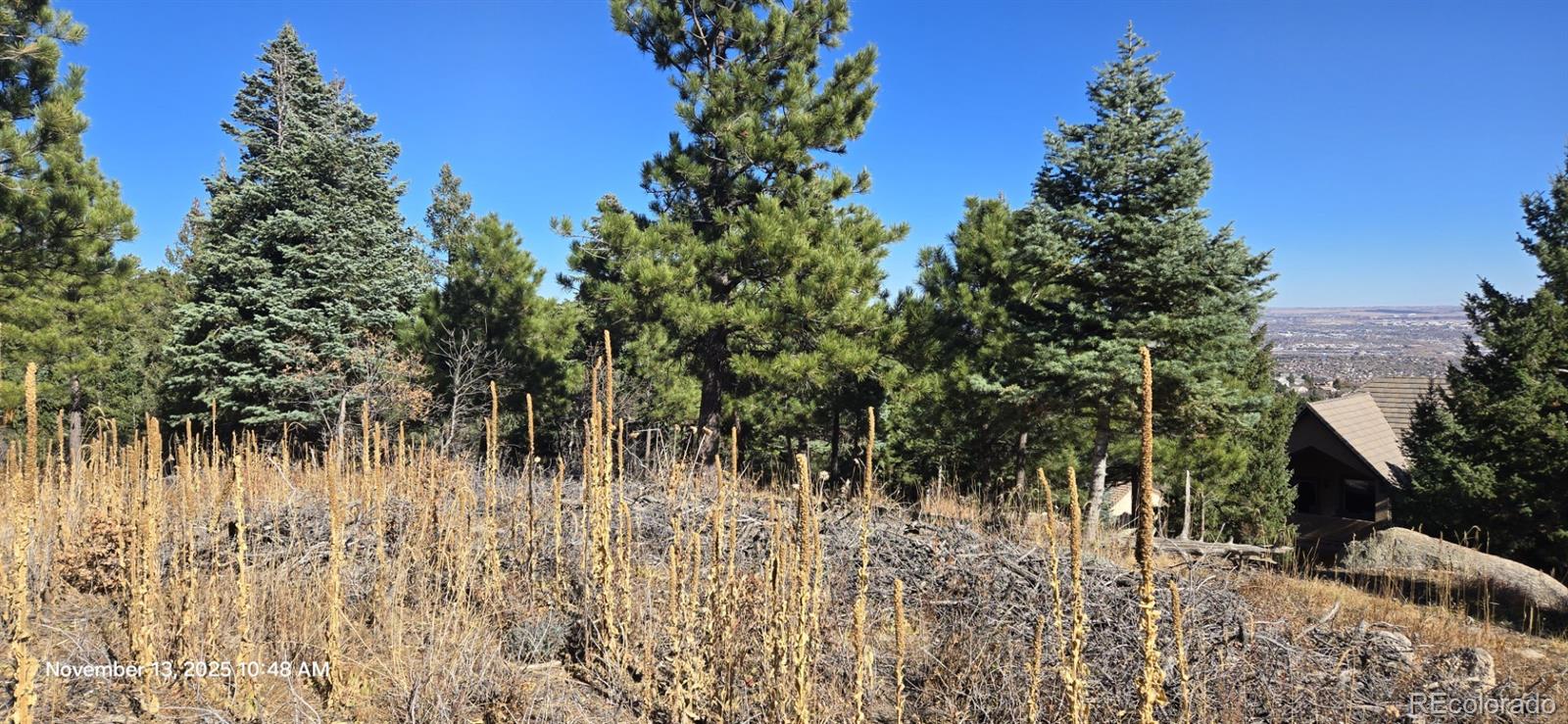 390 Irvington Court Colorado Springs, CO 80906 - Photo 3 of 6