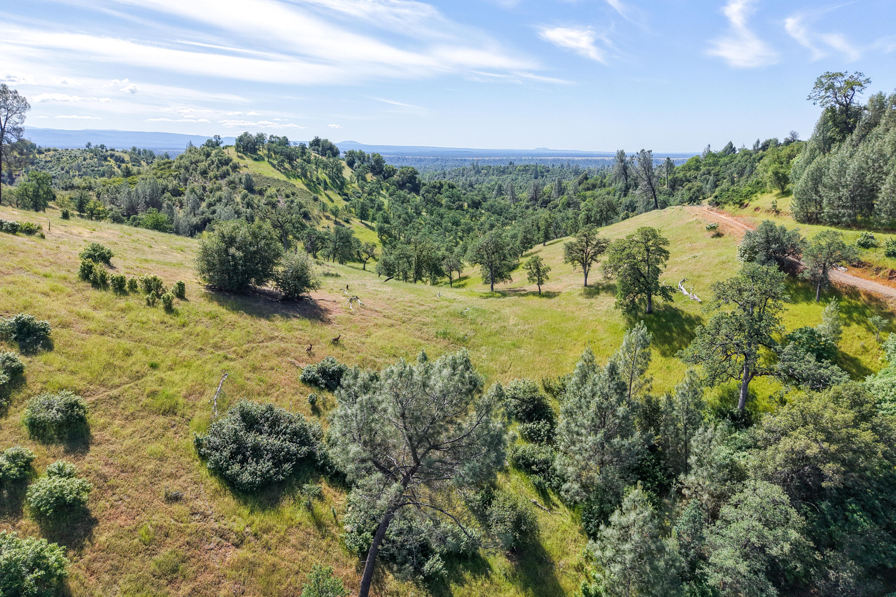 14493 Aloha Road Bella Vista, CA 96008 - Photo 107 of 117 Drone-55