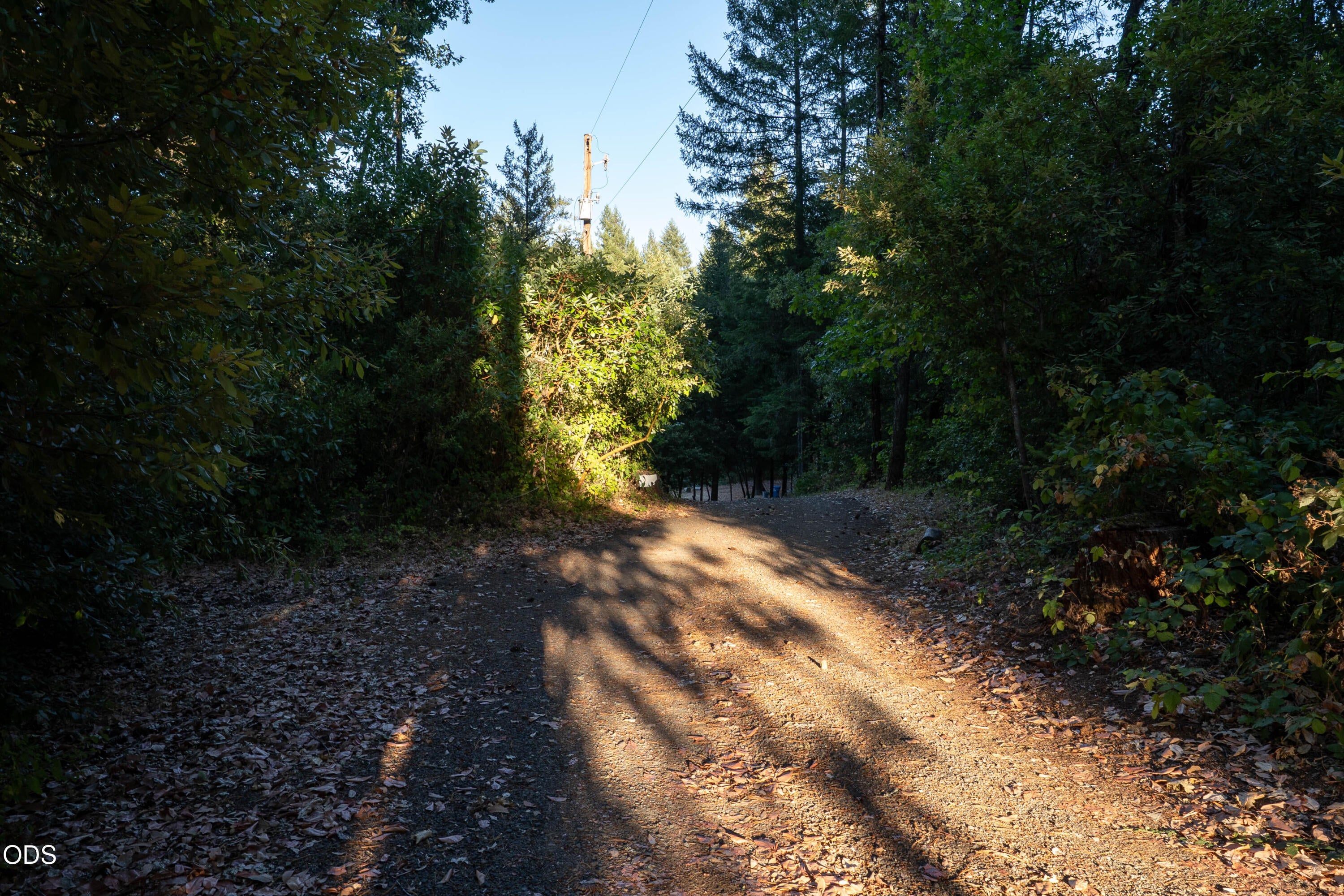 709 Pinewood Way Cave Junction, OR 97523 - Photo 26 of 27 Gallery Image 26