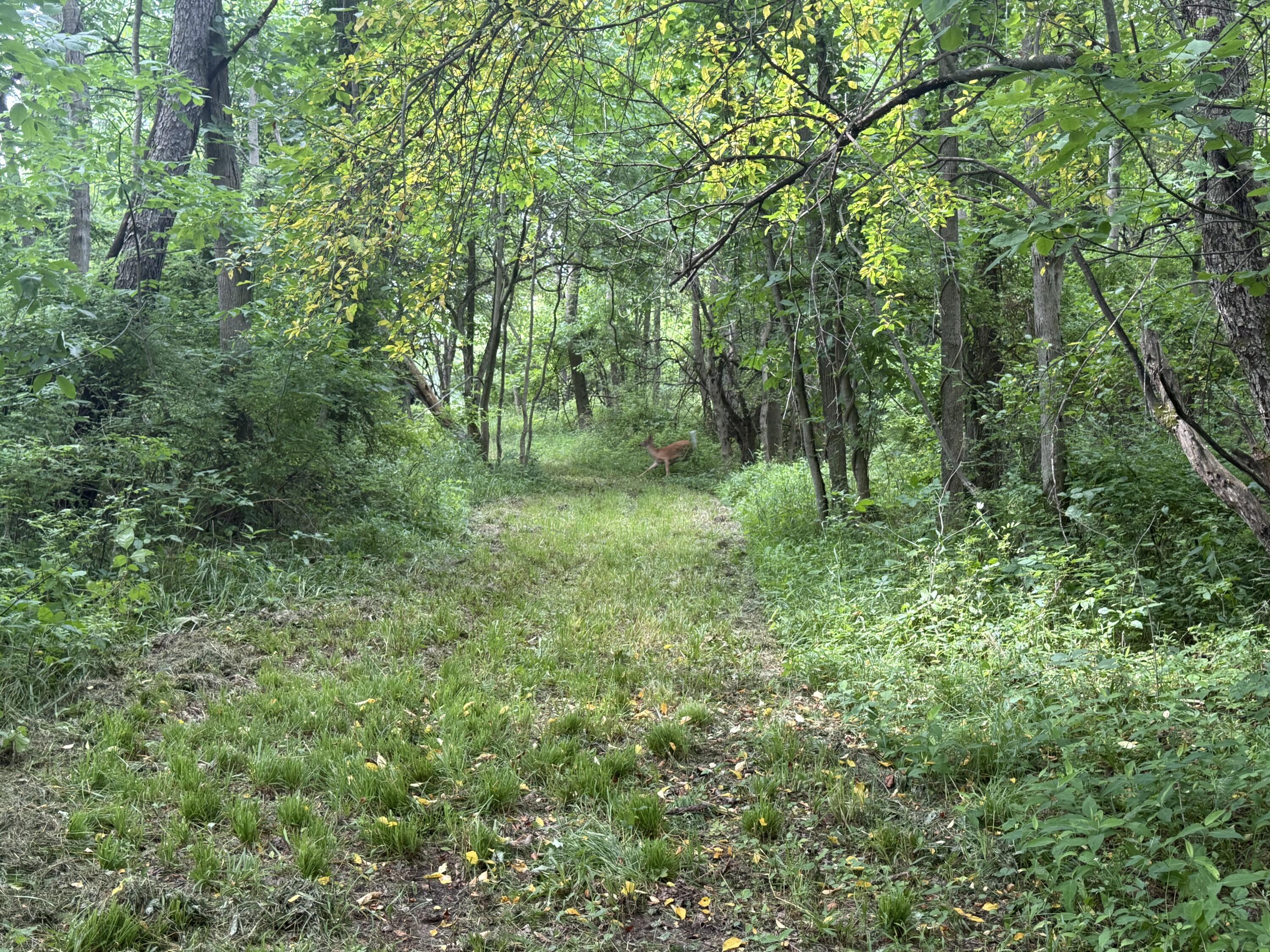 Hagerman Road Leonard, MI 48367 - Photo 33 of 51 j