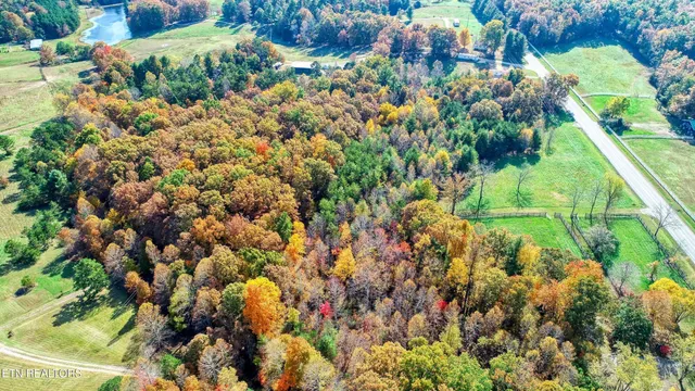 $295,000 | 3265 Leatherwood Ford Road, Jamestown, TN 38556