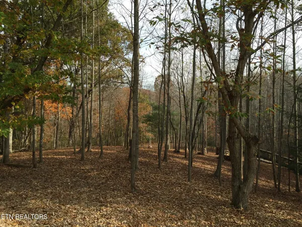 $295,000 | 3265 Leatherwood Ford Road, Jamestown, TN 38556