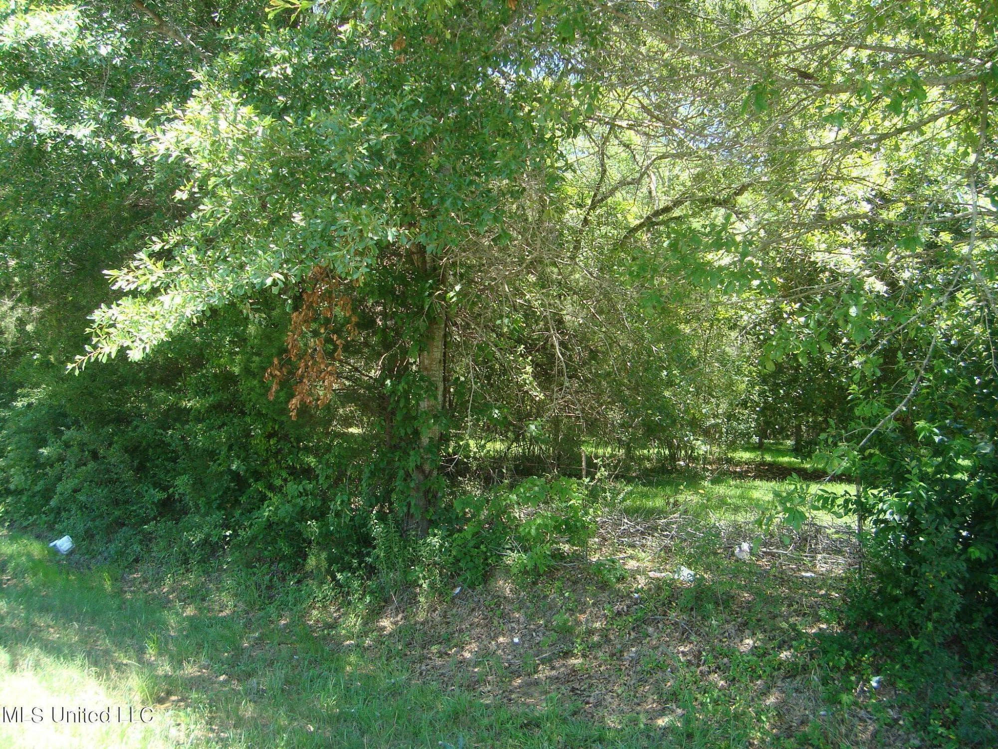 1786 North Old Canton Road Canton, MS 39046 - Photo 3 of 5 Front