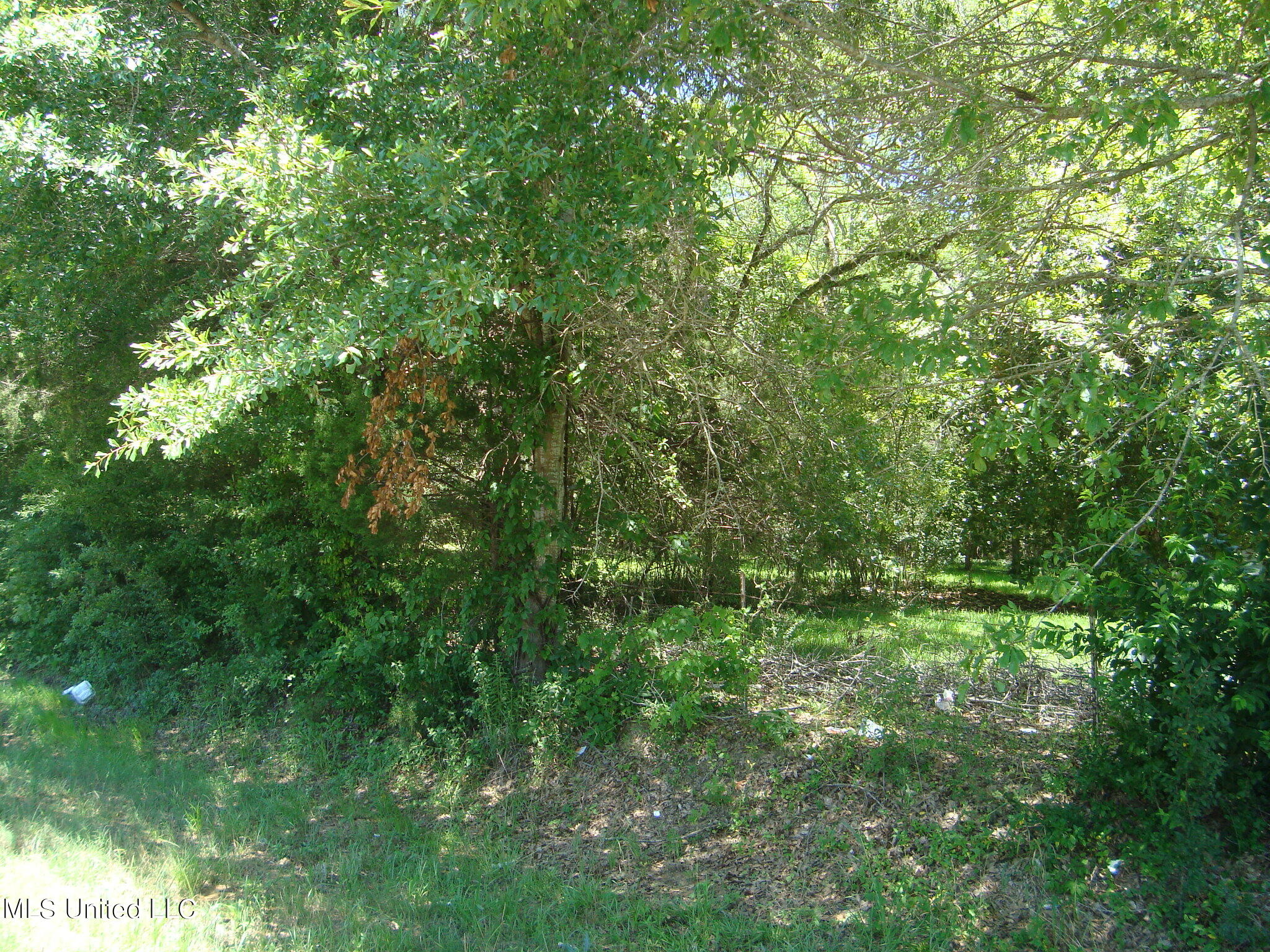 1786 North Old Canton Road Canton, MS 39046 - Photo 4 of 5 DSC02332