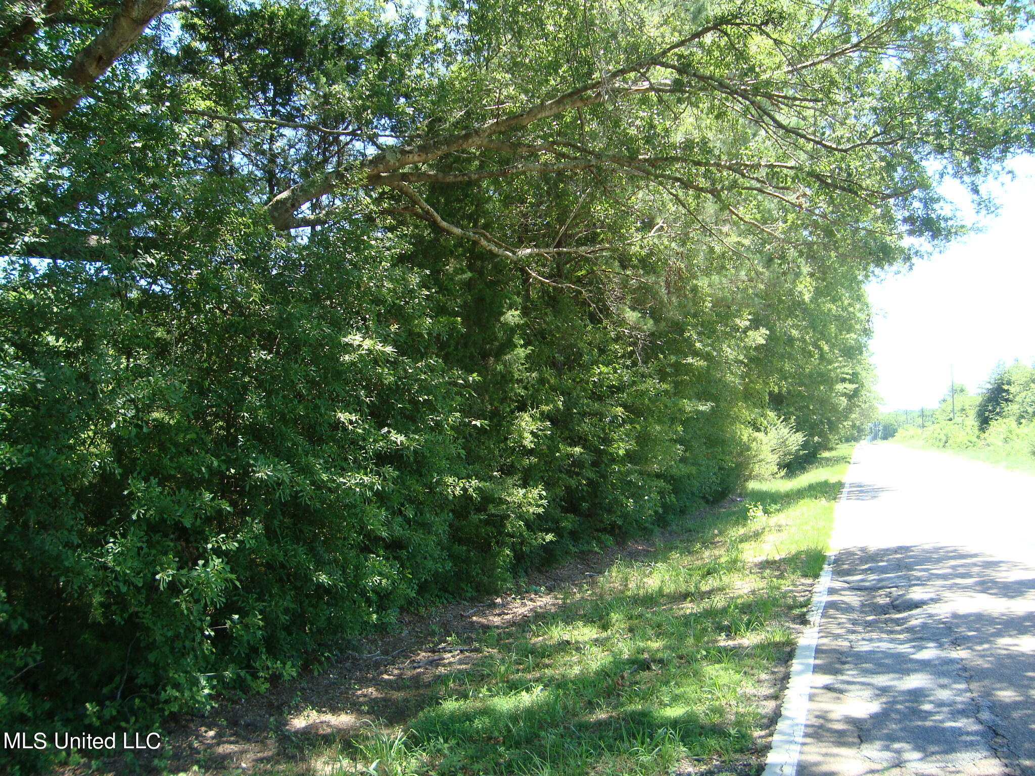 1786 North Old Canton Road Canton, MS 39046 - Photo 5 of 5 DSC02335