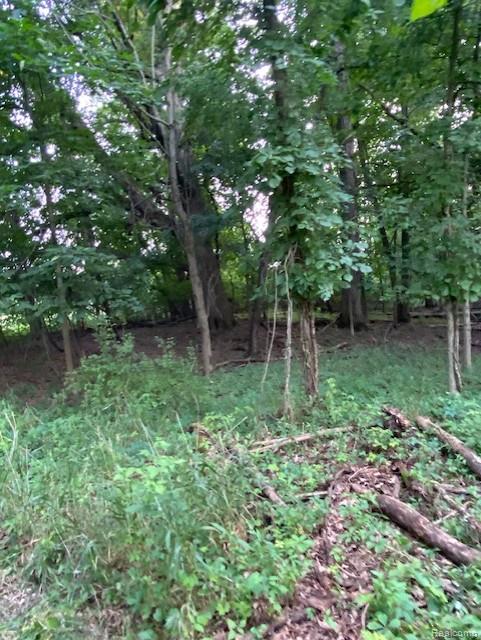 7762 Mason Road Yale, MI 48097 - Photo 23 of 40
