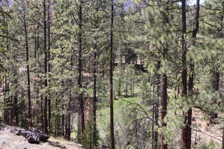 0 Masterson Road Gazelle, CA 96034 - Photo 14 of 26 Gallery Image 14