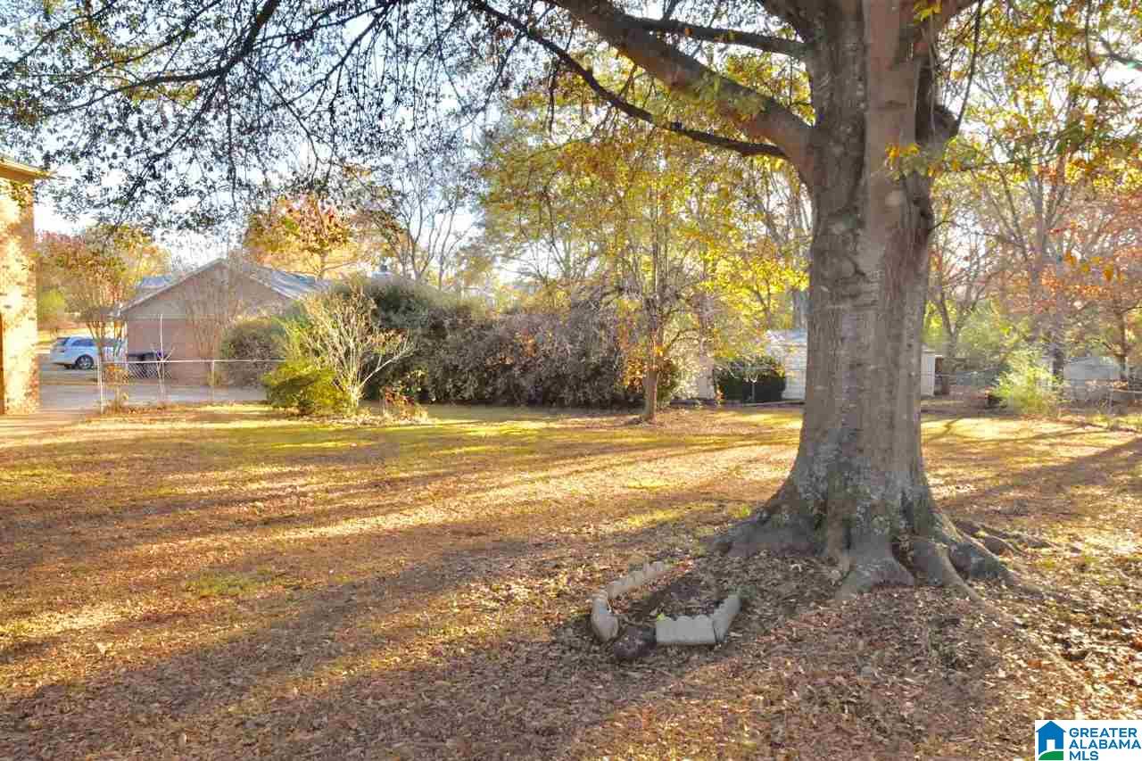 1121 9th Avenue Southwest Alabaster, AL 35007 - Photo 7 of 16