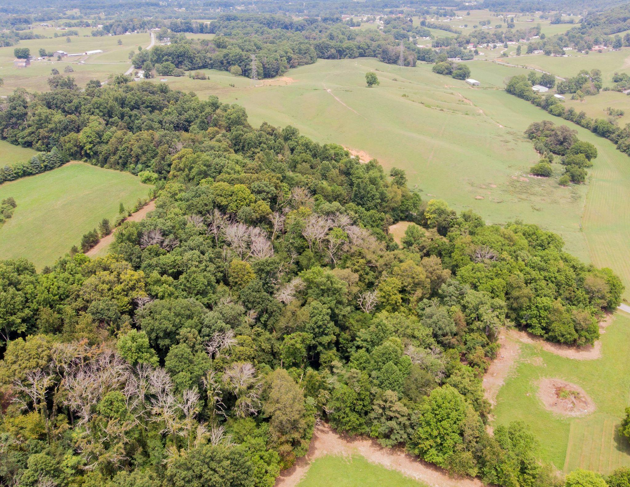 Tbd Roy Green Road Telford, TN 37690 - Photo 15 of 20 15