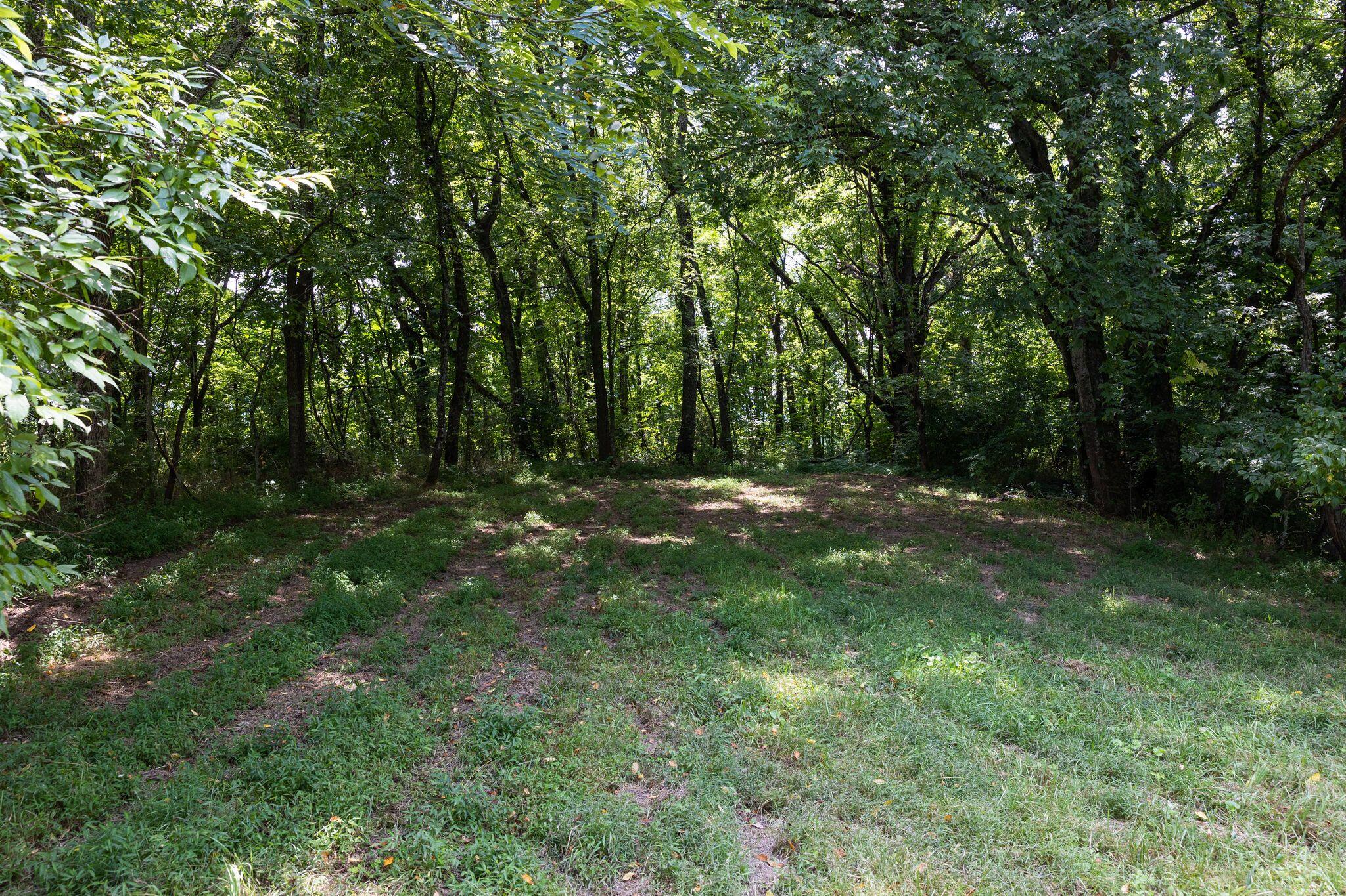 Tbd Roy Green Road Telford, TN 37690 - Photo 3 of 20 3