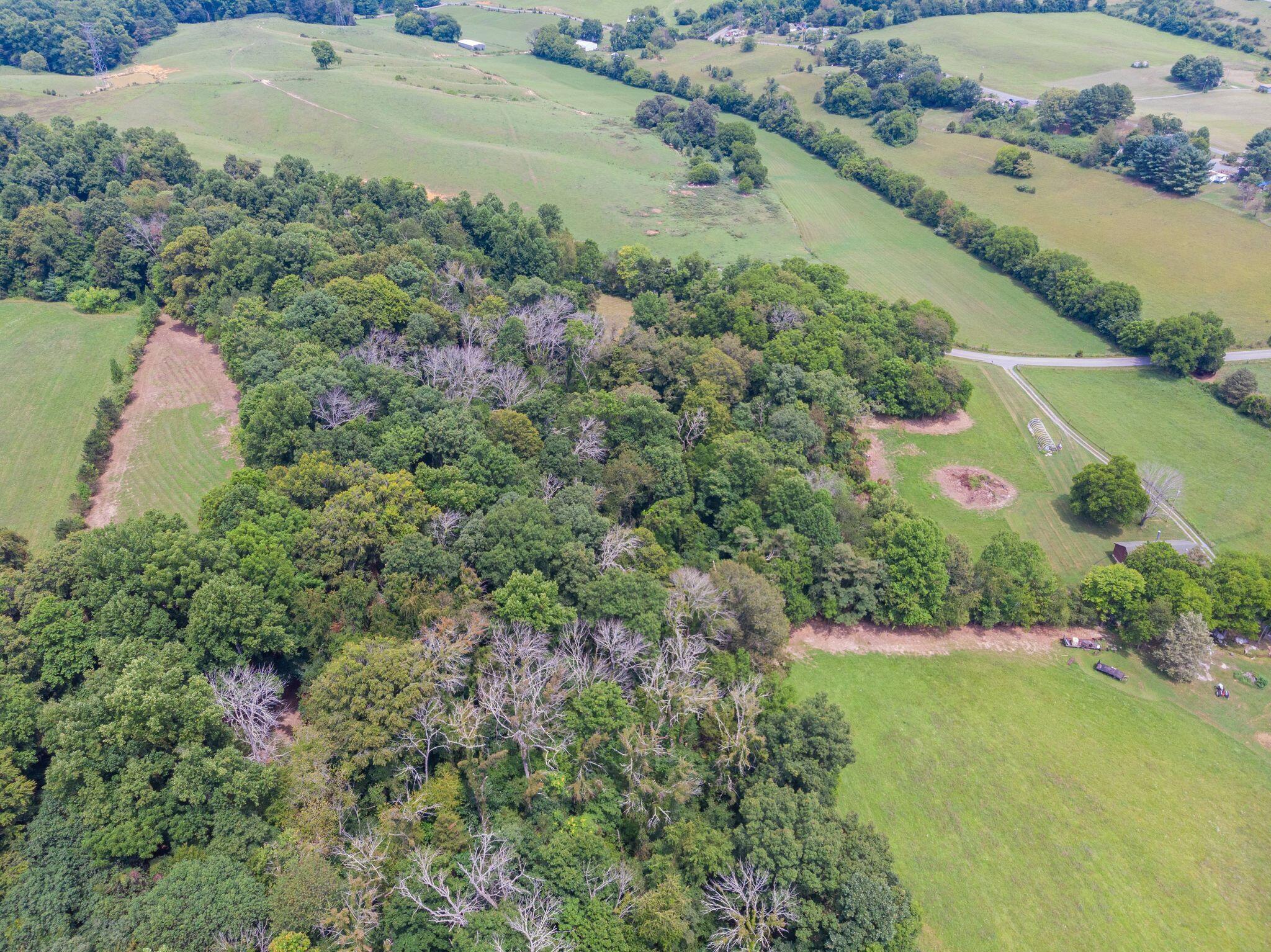 Tbd Roy Green Road Telford, TN 37690 - Photo 7 of 20 7