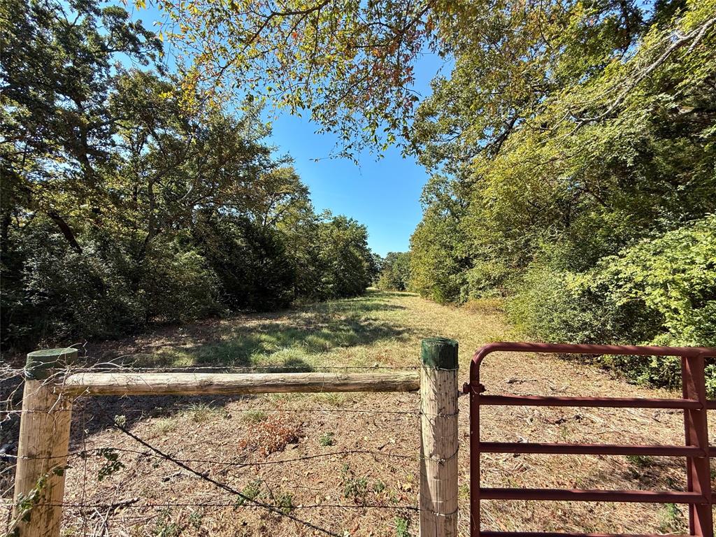 a view of a yard with wooden fence