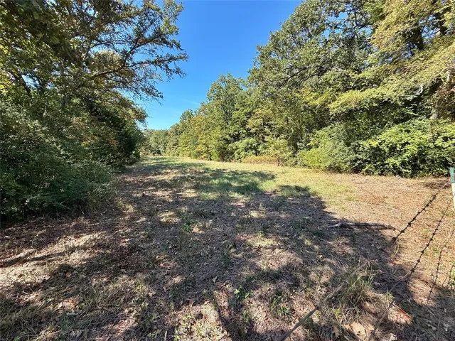 a view of a yard with a tree