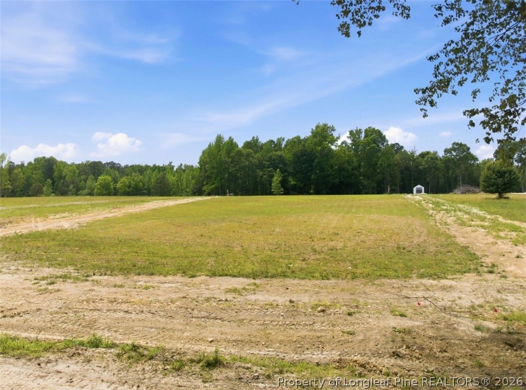 1098 Cedar Lane Road Sanford, NC 27332 - Photo 8 of 12 Base of Property at Easement