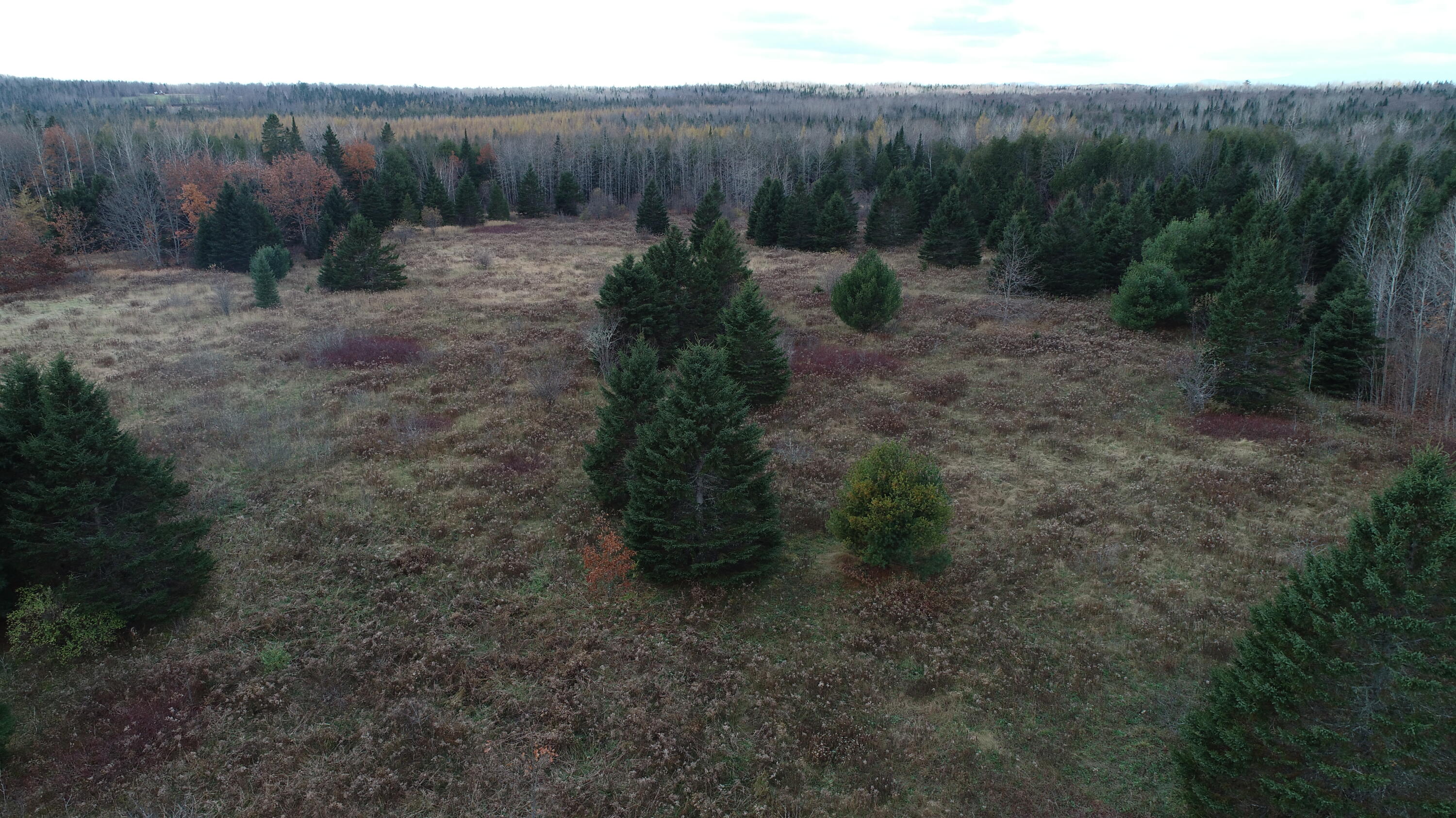 Lot 18 U.S. Rte 2 Newport, ME 04953 - Photo 48 of 62