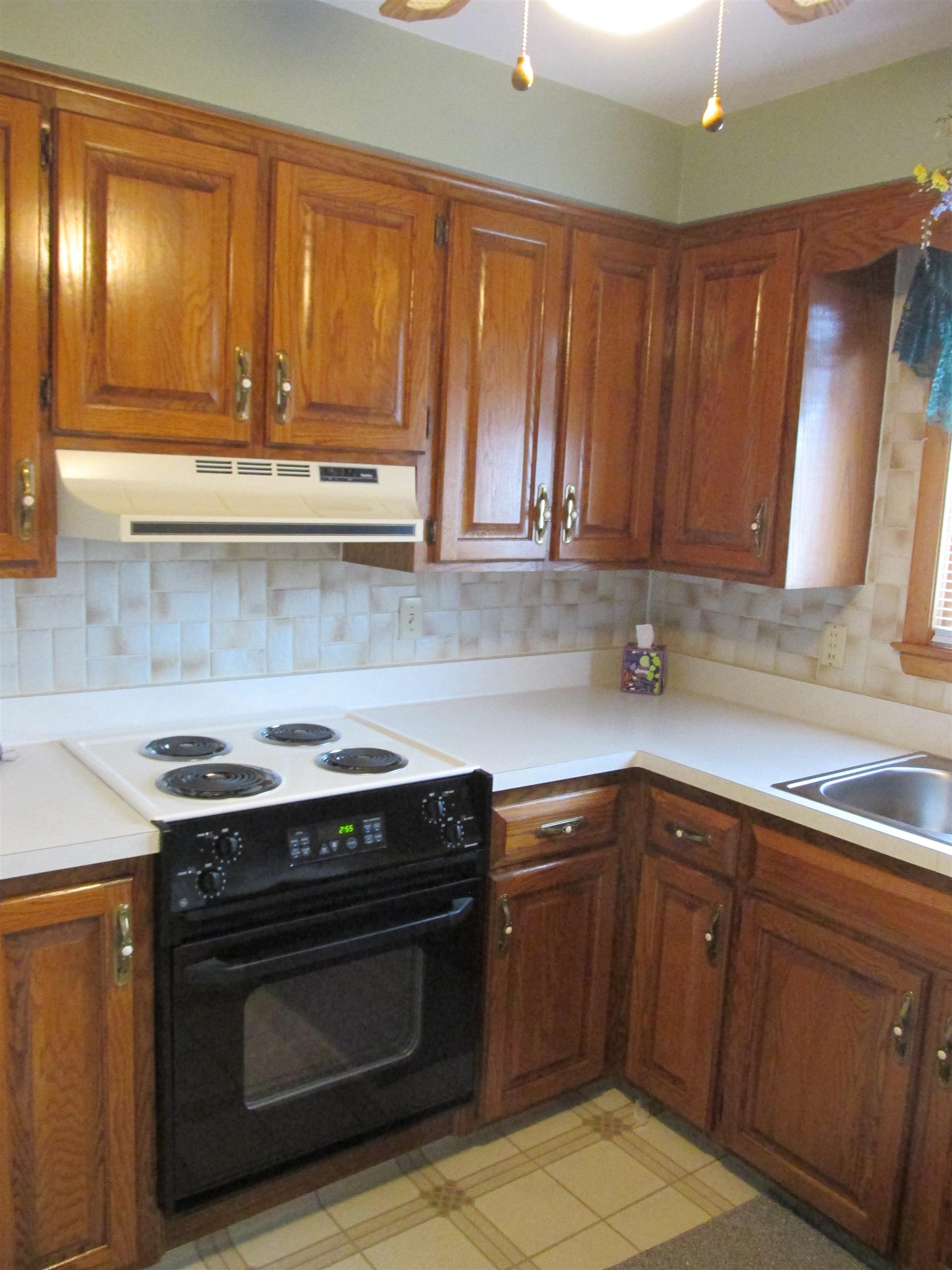 1011 East Lindbergh Street Appleton, WI 54911 - Photo 5 of 26