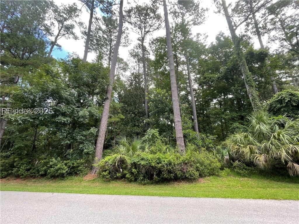 3 Shellfish Lane Okatie, SC 29909 - Photo 2 of 19 Road view of lot