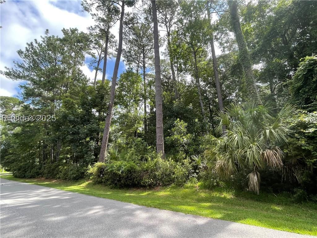 3 Shellfish Lane Okatie, SC 29909 - Photo 3 of 19 Road view of lot
