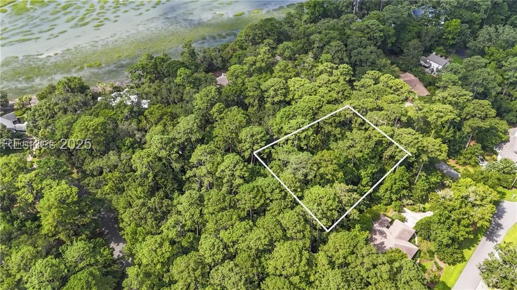 3 Shellfish Lane Okatie, SC 29909 - Photo 5 of 19 Aerial view with approximate lot lines