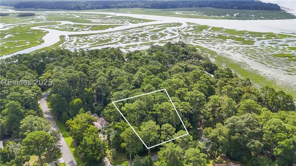 3 Shellfish Lane Okatie, SC 29909 - Photo 6 of 19 Aerial view with approximate lot lines