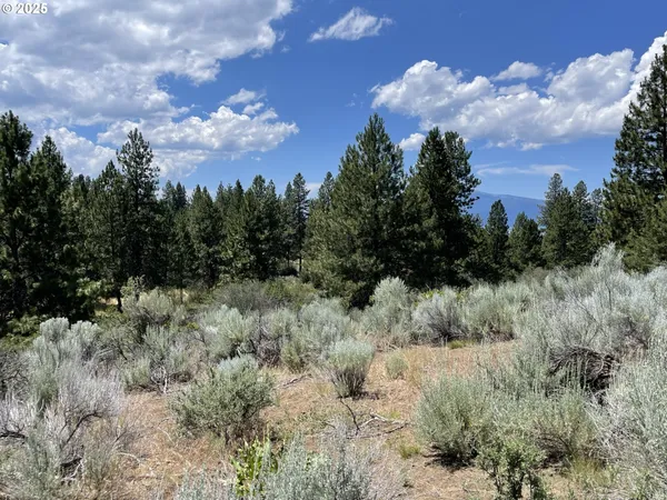 a view of a bunch of trees