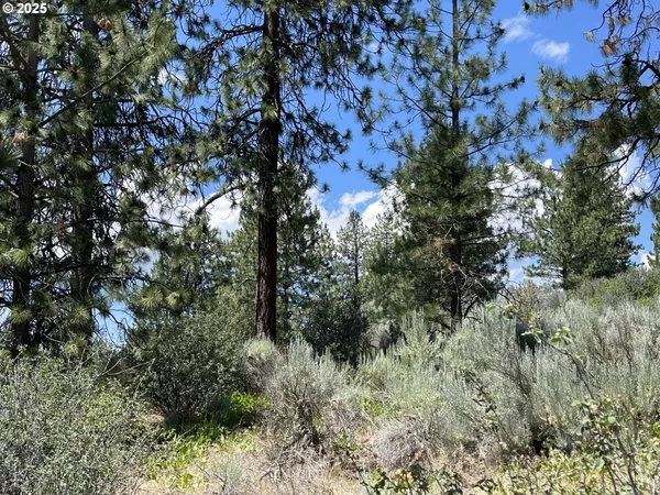 a view of a trees in a field
