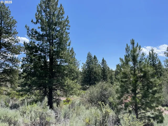a view of a city with lush green forest