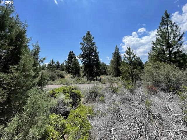 a view of a forest of a house