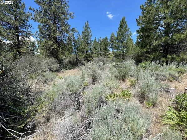 a view of a bunch of trees