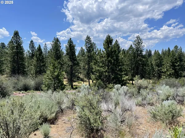 $47,500 | Legget Drive, Unit 25, Chiloquin, OR 97624