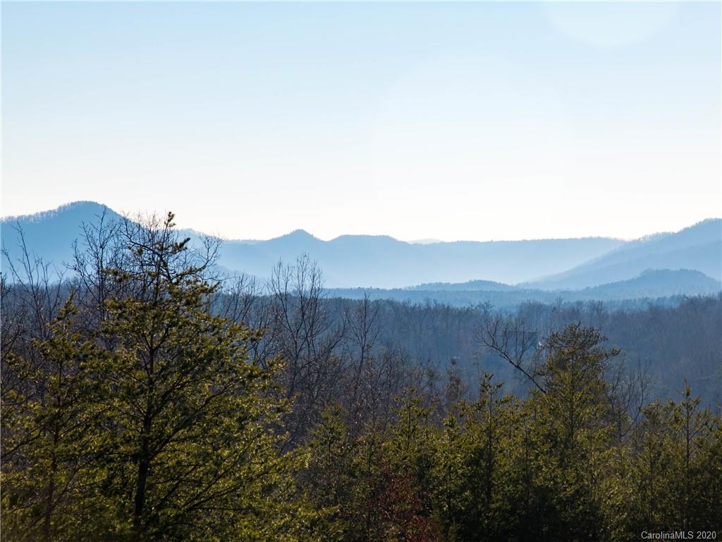 434 North Boundry Road Mill Spring, NC 28756 - Photo 2 of 40