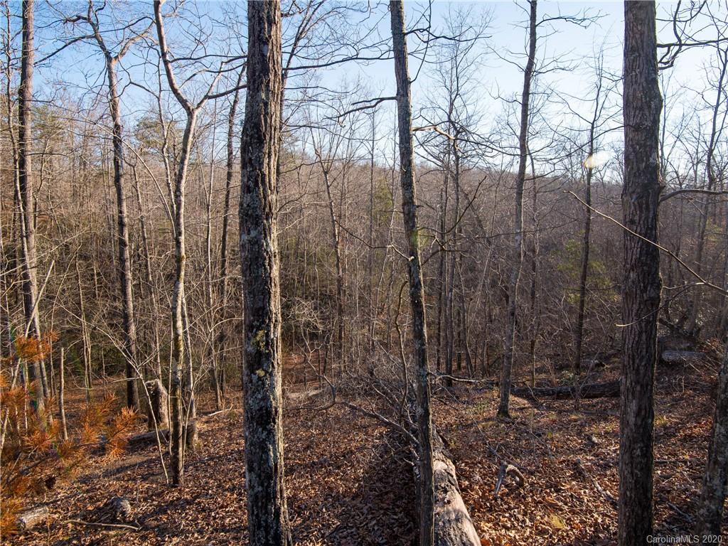 434 North Boundry Road Mill Spring, NC 28756 - Photo 28 of 40