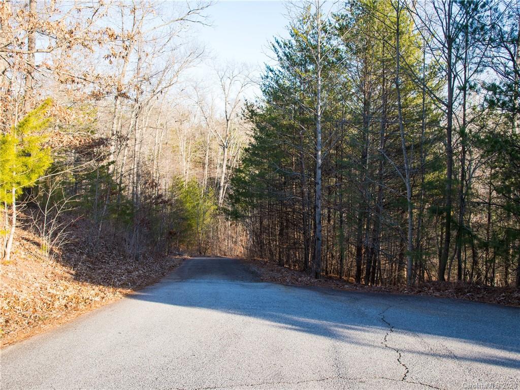 434 North Boundry Road Mill Spring, NC 28756 - Photo 29 of 40