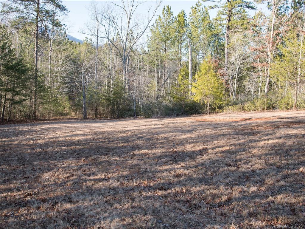 434 North Boundry Road Mill Spring, NC 28756 - Photo 31 of 40